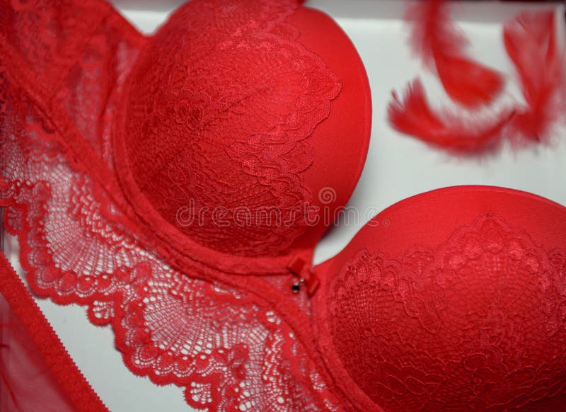 Sexy Lencería De Color Rojo Sobre Un Fondo Azul. Conjunto De Mujer Lencería Encaje  Ropa Interior Closeup. Sujetador Y Bragas Están Foto de archivo - Imagen de  mujeres, empaquetado: 212465024, conjunto ropa