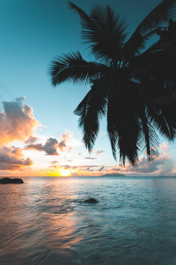Seychelles durante o por do sol imagens de stock Seychelles durante o por do sol imagens de stock
