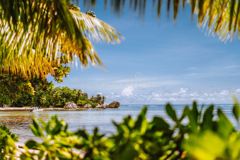 Seychelles famous Anse Source d&#x27;Argent beach with well-known granite boulder rocks at La Digue island. Leaves framed photo. Seychelles famous Anse Source d&#x27;Argent beach with well-known granite boulder rocks at La Digue island. Leaves framed photo.