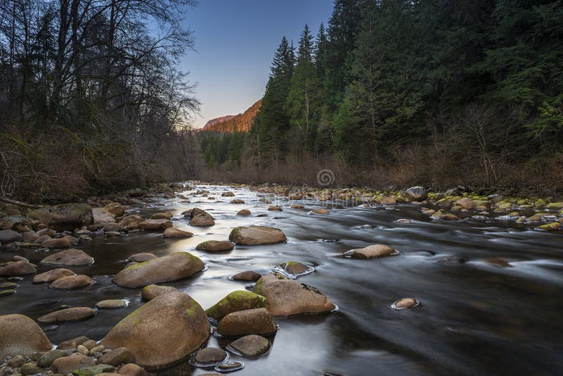 Seymour River stock photo. Image of pink, canada, moss 39608692