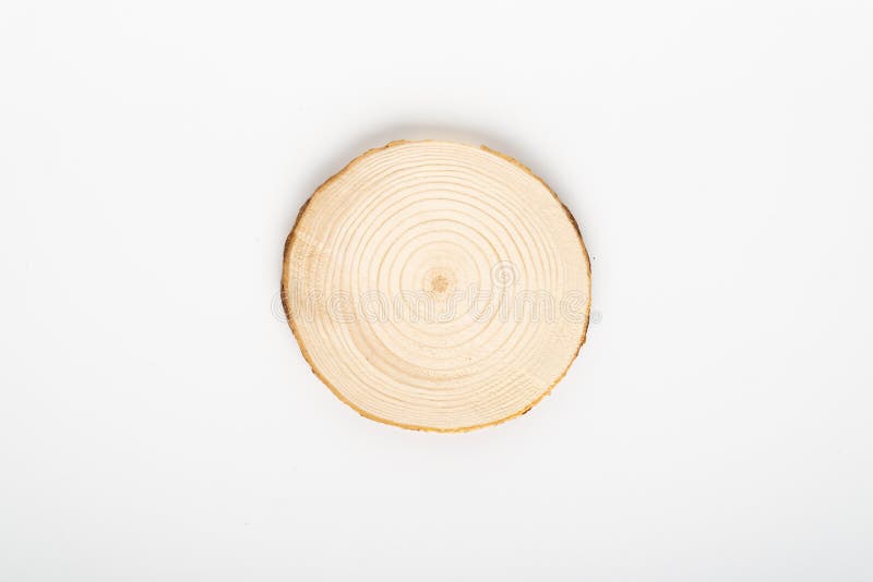 Sezione trasversale del pino con gli anelli annuali su fondo bianco Primo piano del pezzo del legname, vista superiore, isolata