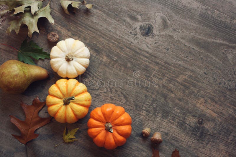 Sezonul de Ziua Recunoștinței încă viață cu dovleci mici colorați, fructe și frunze de căzătură pe fond de lemn rustic stock photography