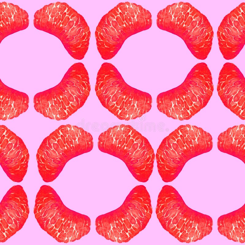 Seções da toranja, fatias no formulário geométrico no fundo roxo macio ilustração stock Seções da toranja, fatias no formulário geométrico no fundo roxo macio ilustração stock