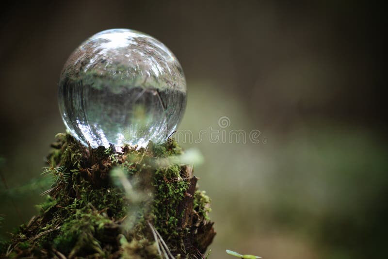 Crystal ball. Magical accessory in the woods on the stump. Ritual ball of witches and sorcerers on an old rotten stump covered with moss.r. Crystal ball. Magical accessory in the woods on the stump. Ritual ball of witches and sorcerers on an old rotten stump covered with moss.r