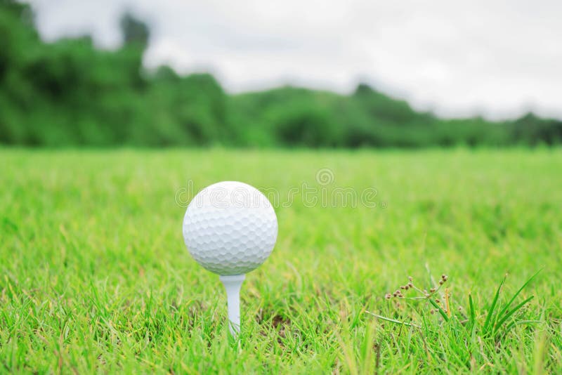 Sfera di golf su erba immagini stock libere da diritti