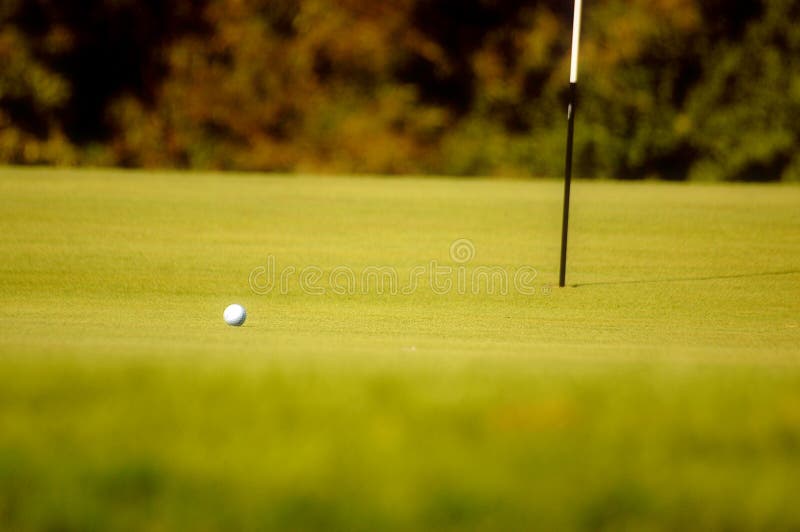Sfera di golf su verde fotografie stock Sfera di golf su verde fotografie stock