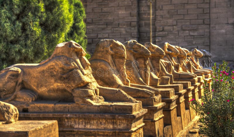 Sfingi egiziane antiche con la testa del Ram a Luxor, Egitto fotografia stock libera da diritti Sfingi egiziane antiche con la testa del Ram a Luxor, Egitto fotografia stock libera da diritti