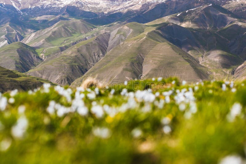 Sfondo astratto della trama delle pietre di montagna. ambiente ecologico naturale. calmare la superficie verde. primavera di fresc fotografie stock