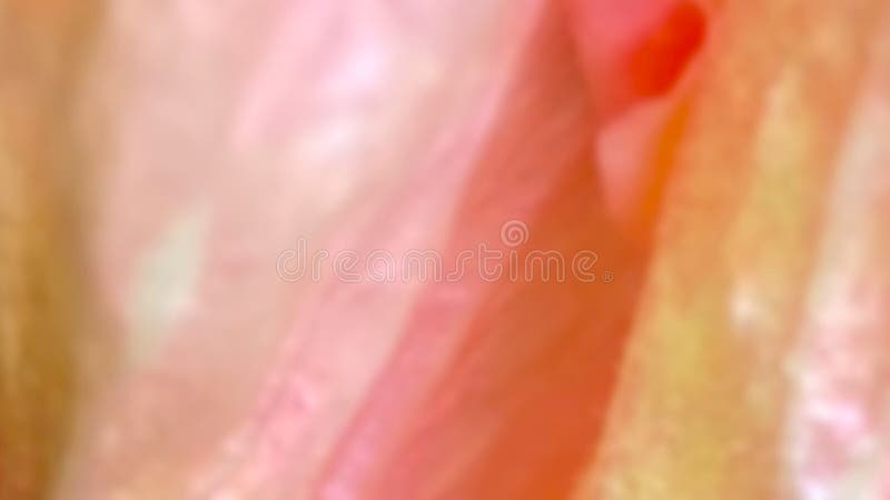 Sfondo colorato astratto con giallo di colore arancione marrone giallo illustrazione di stock