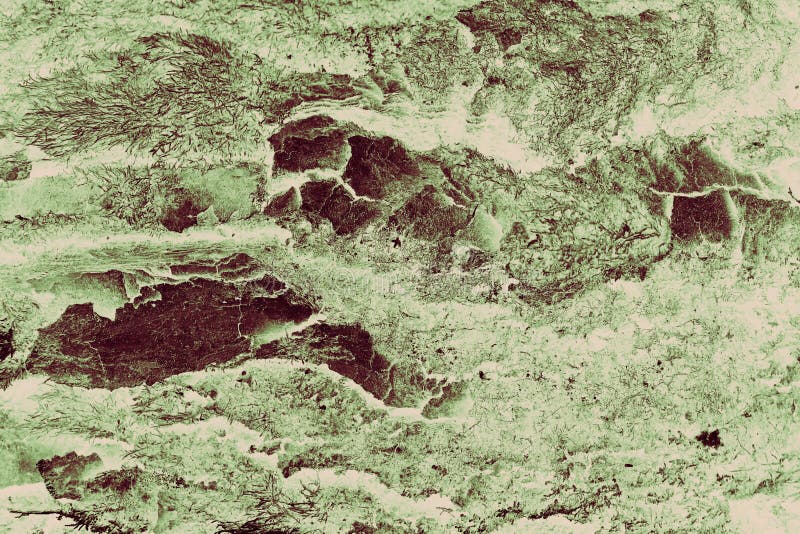 Sfondo del filtro seppia verde di sfondo della corteccia di grunge astratta fotografia stock Sfondo del filtro seppia verde di sfondo della corteccia di grunge astratta fotografia stock