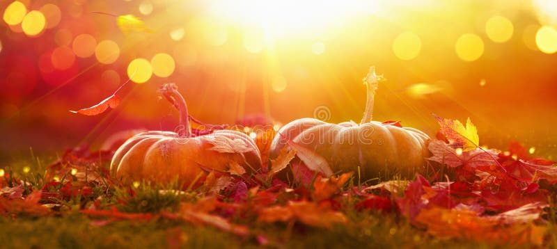 Sfondo del giorno del ringraziamento d'autunno Festival d'autunno Raccolto