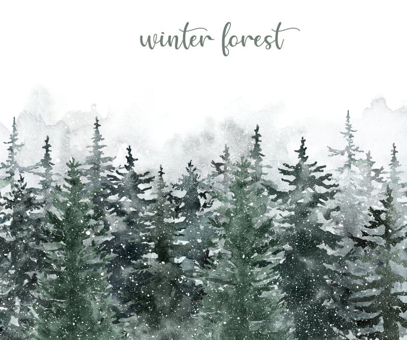 Sfondo del pino invernale Alberi di arbusti di conifere verniciati a mano con neve in caduta Scena paesaggistica della natura