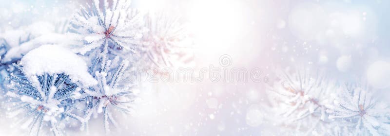 Sfondo naturale di Natale di inverno Rami del pino nella neve in un bello formato nevoso dell'insegna della foresta Copi lo spazi fotografia stock libera da diritti Sfondo naturale di Natale di inverno Rami del pino nella neve in un bello formato nevoso dell'insegna della foresta Copi lo spazi fotografia stock libera da diritti