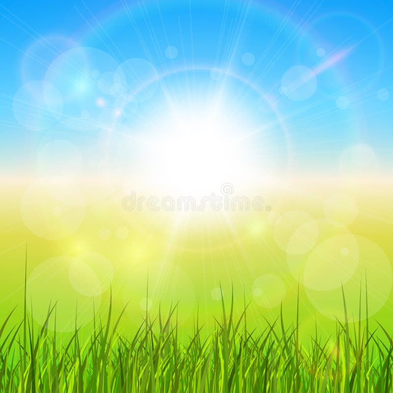 Sunny natural background with vector sun and grass. Sunny natural background with vector sun and grass.