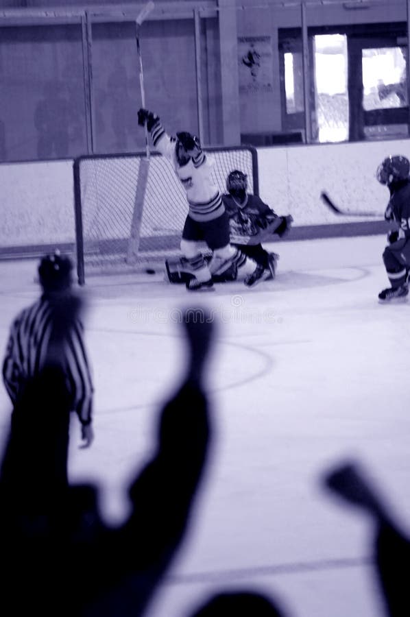 An artistic blue blur of a reaction to a goal scored during an ice hockey game. An artistic blue blur of a reaction to a goal scored during an ice hockey game