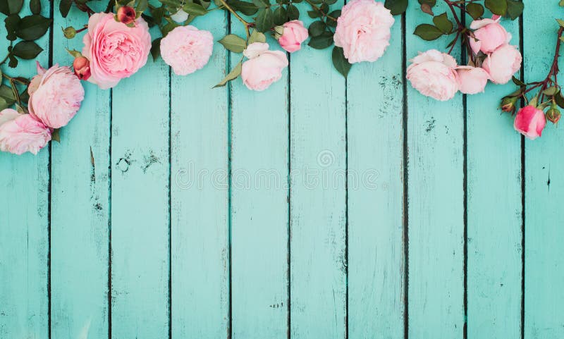 Shabby chic HD wallpapers  Pxfuel