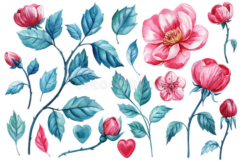 Shabby chpastel ανθέων άνθος βοτανικός κλάδος υδατοχρώματος φύλλα χειροποίητα φυλλώματα τριαντάφυλλα απομονωμένο φόντο ελεύθερη απεικόνιση δικαιώματος