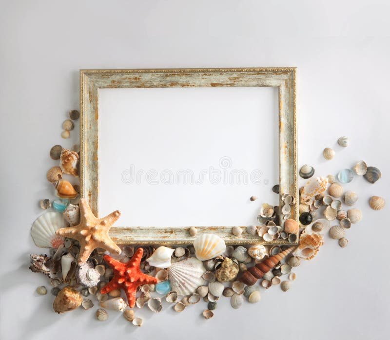 Shabby picture frame with blank space inside, and shells in form