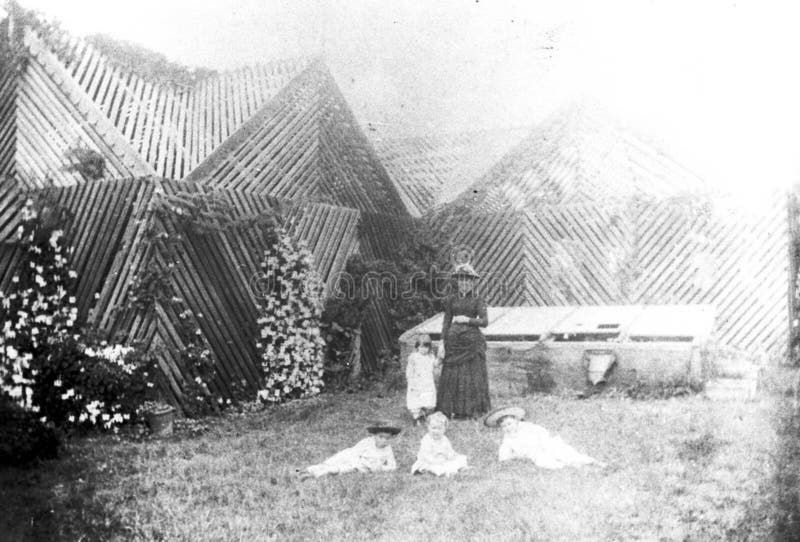 Shade House At Toowoomba Residence, Roslyn Picture. Image: 222450982