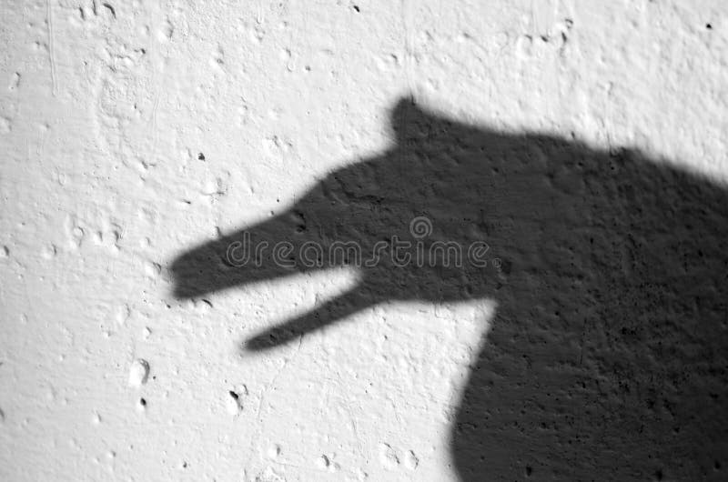 Shadow of animal