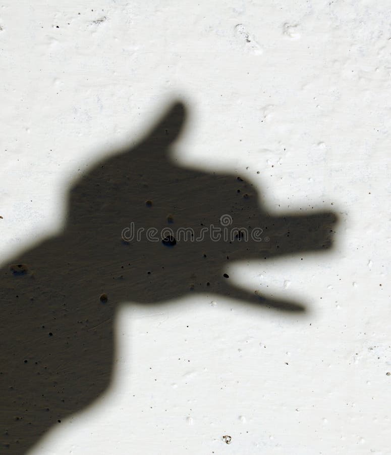 Shadow of animal