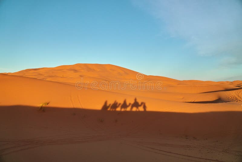 Shadow of a camel caravan on a sand dune in the desert stock photo Shadow of a camel caravan on a sand dune in the desert stock photo