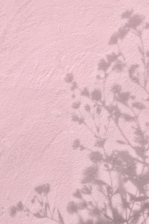 Shadow of flowers on pink concrete wall texture background