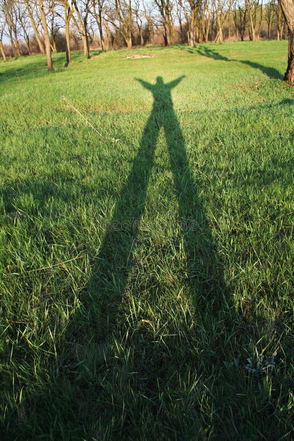  Shadow  On Grass  Stock Photos Image 2309163