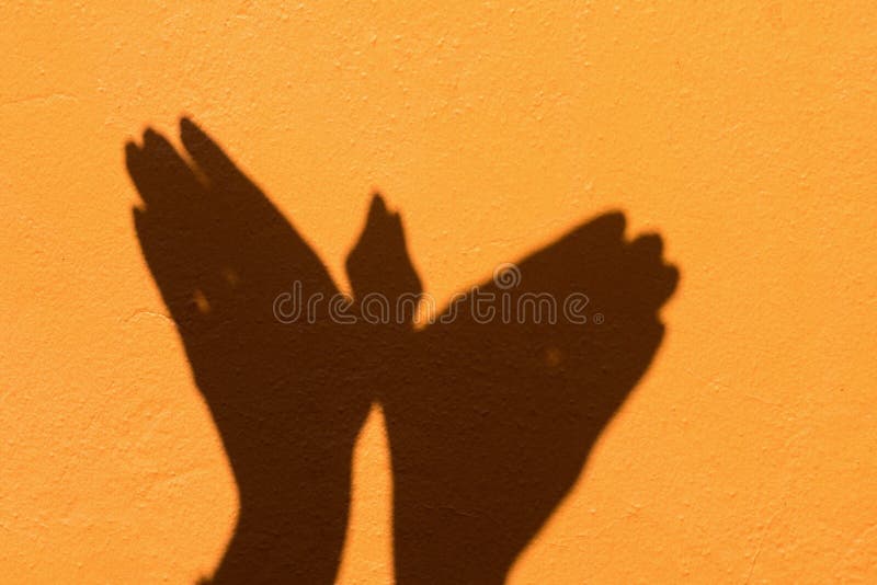 Shadow of hand symbol mean animal like a Bird on Orange wall background stock photos Shadow of hand symbol mean animal like a Bird on Orange wall background stock photos