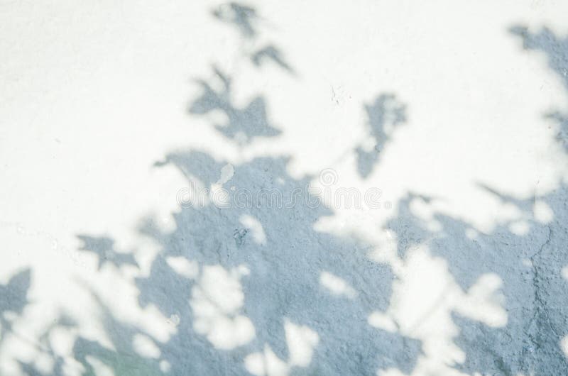 Shadow of the leaves on a blue wall.