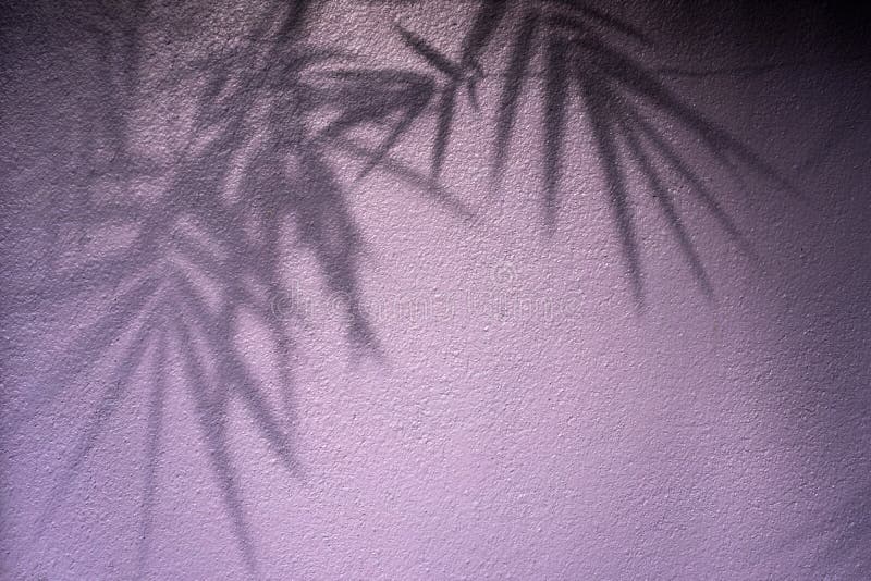 Shadow of leaves on wall stock image Shadow of leaves on wall stock image