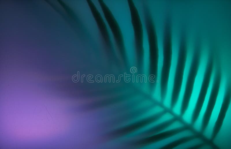 Shadow from Palm Tropical Leaves and Monstera in Neon Light.. Fluorescent ,  Ultraviolet Color Layout. Flatlay Stock Image - Image of beach, flat:  160829743