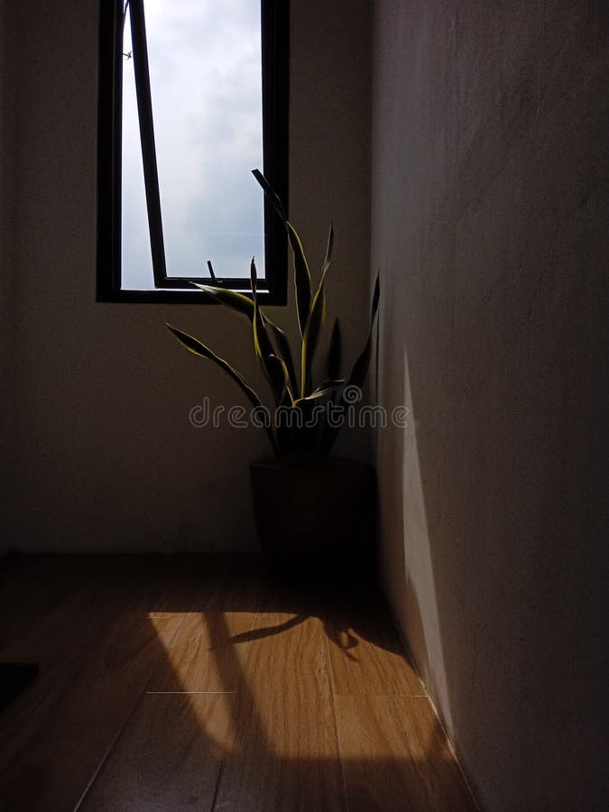 shadow is formed because light travels in a straight line