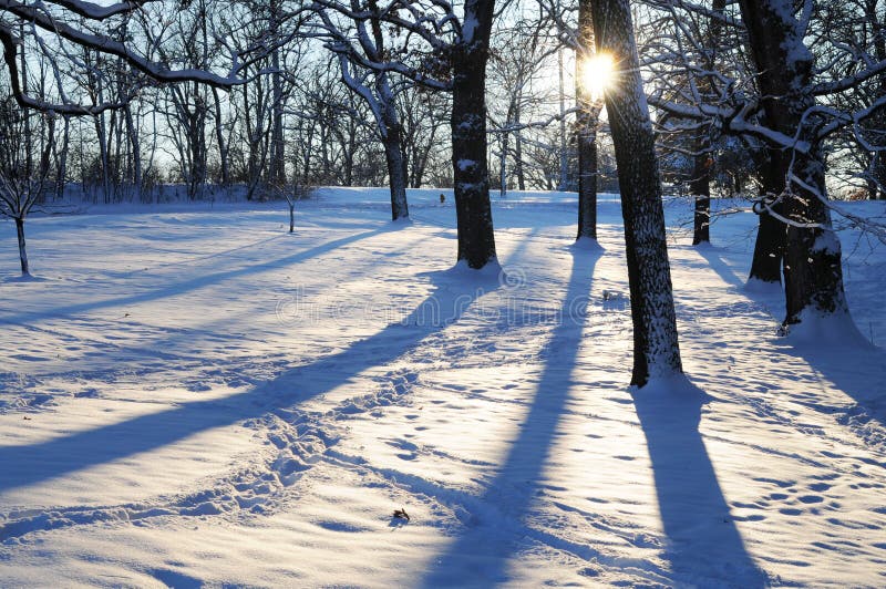 Shadows on the Snow