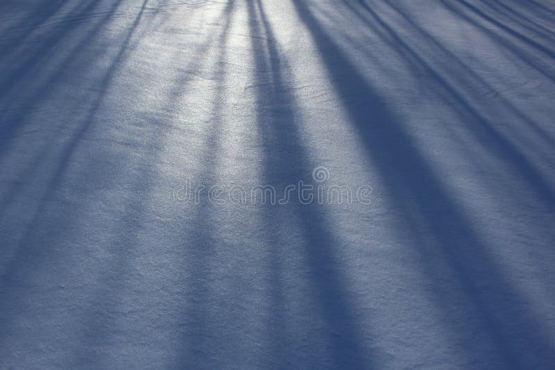 Shadows of trees on the unmarked snow on a cold winter afternoon royalty free stock photography