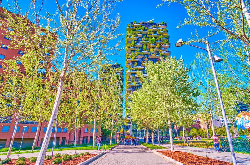 The shady alley of Biblioteca degli Alberi Park with bosco Verticale buildings on background, Milan, Italy