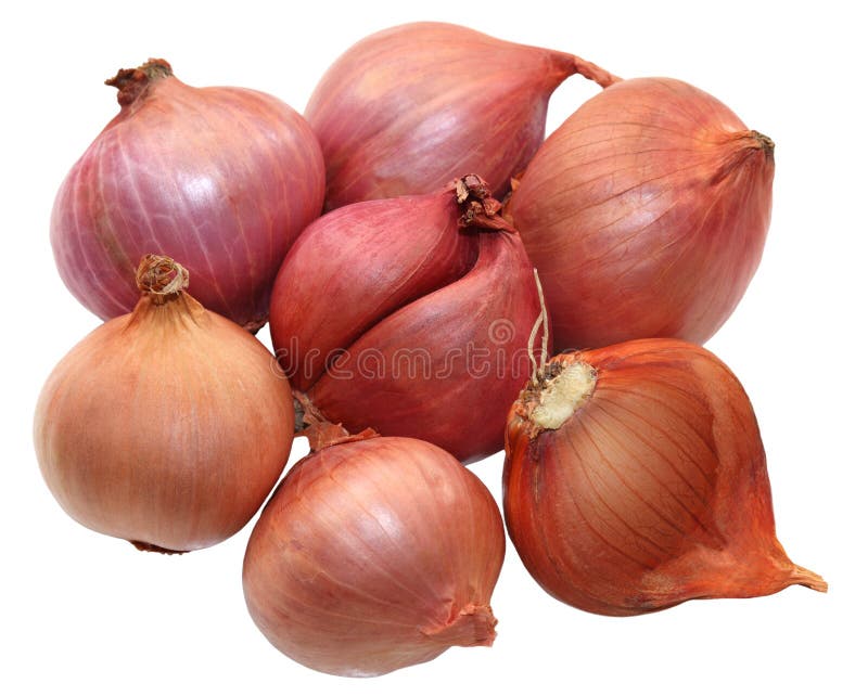 Shallot Small Red - Free photo on Pixabay - Pixabay