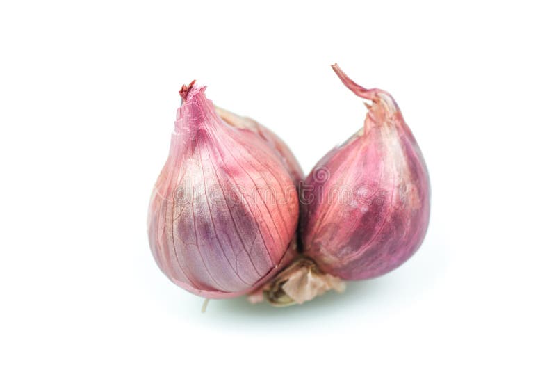 Shallot (allium Ascalonicum) Stock Image Image of outdoor, health 39528373