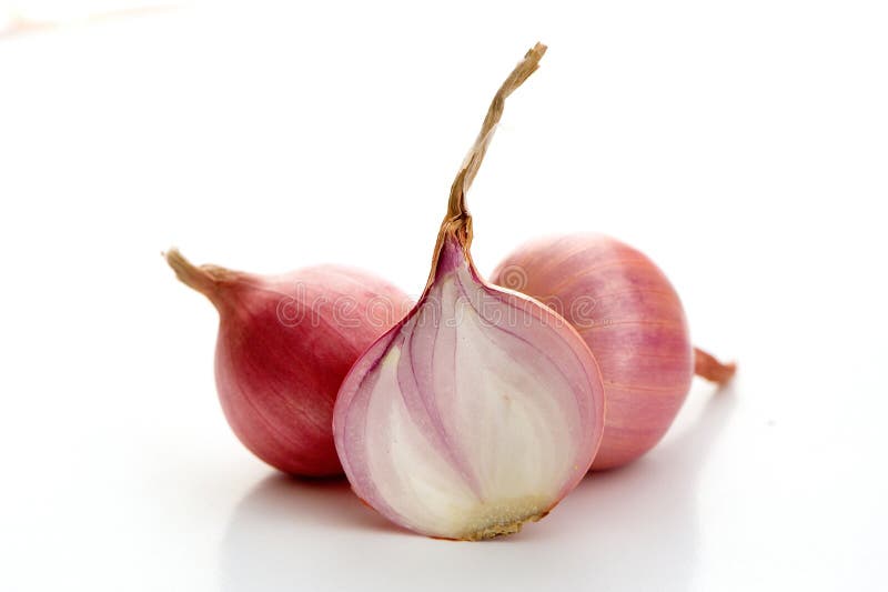 Shallot(Allium Cepa L.),leaf Form and Texture Stock Photo Image of detail, bright 51426366