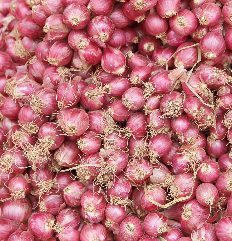 Shallots Asian Red Onions Stock Photo 1014956206