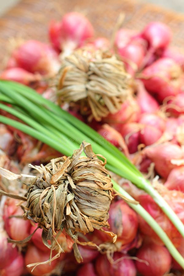 Shallots Asian Red Onions Stock Photo 1014956206