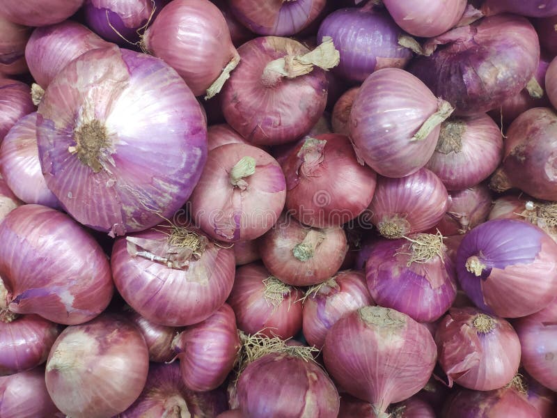 Shallot, Cebola é Um Vegetal E Especiaria Para Cozinhar Na Cozinha Imagem  de Stock - Imagem de cebola, cozinha: 165733177