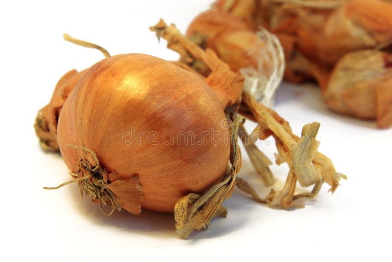 Shallot closeup