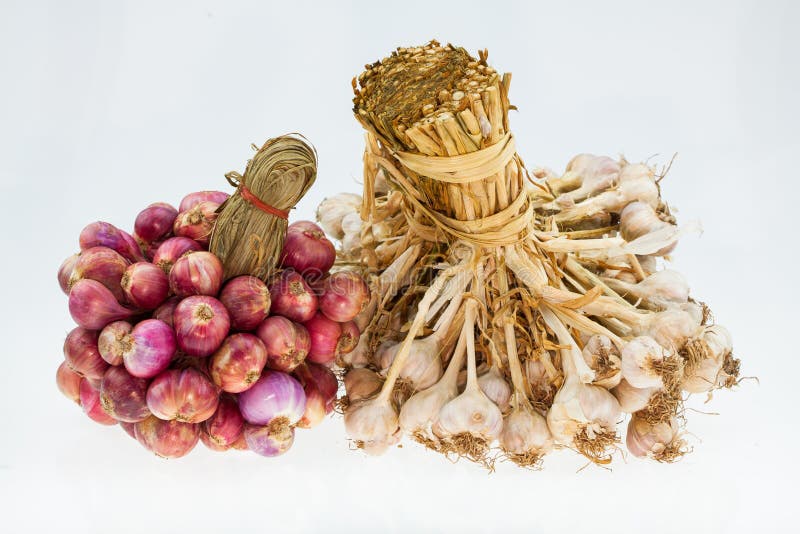 Garlic group stock image. Image of nutrition, aroma, spicy 31308653