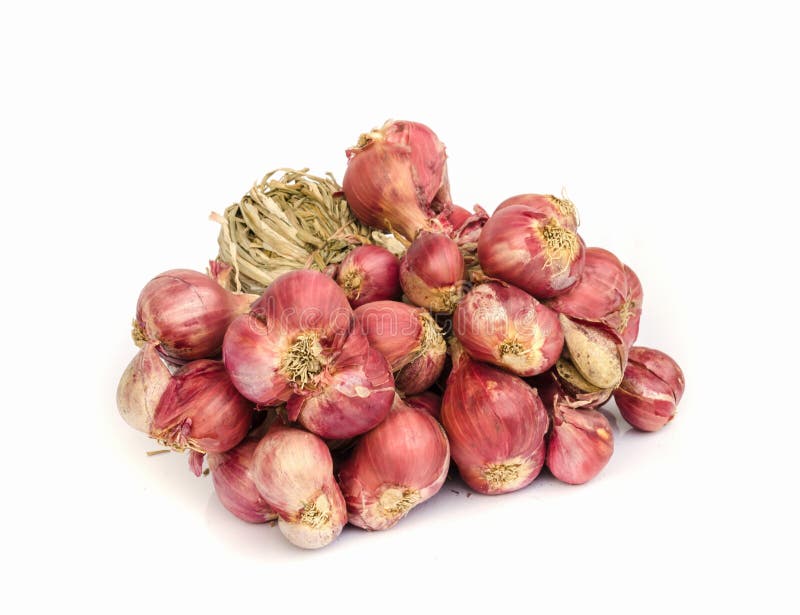 Shallot onions stock image. Image of plant, seasoning 53126283
