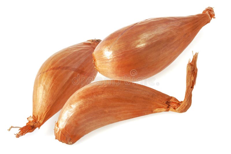 Shallot Free Stock Photos, Images, and Pictures of Shallot