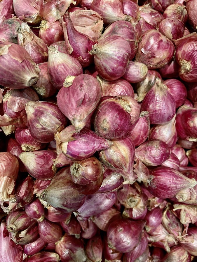 Bunch of shallots stock photo. Image of plant, shallot - 31223948