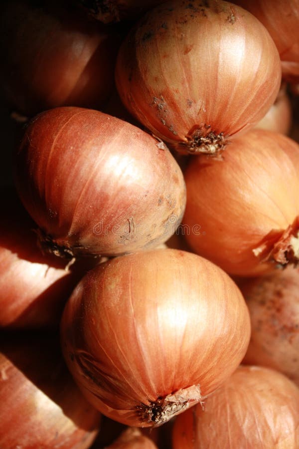 Shallots