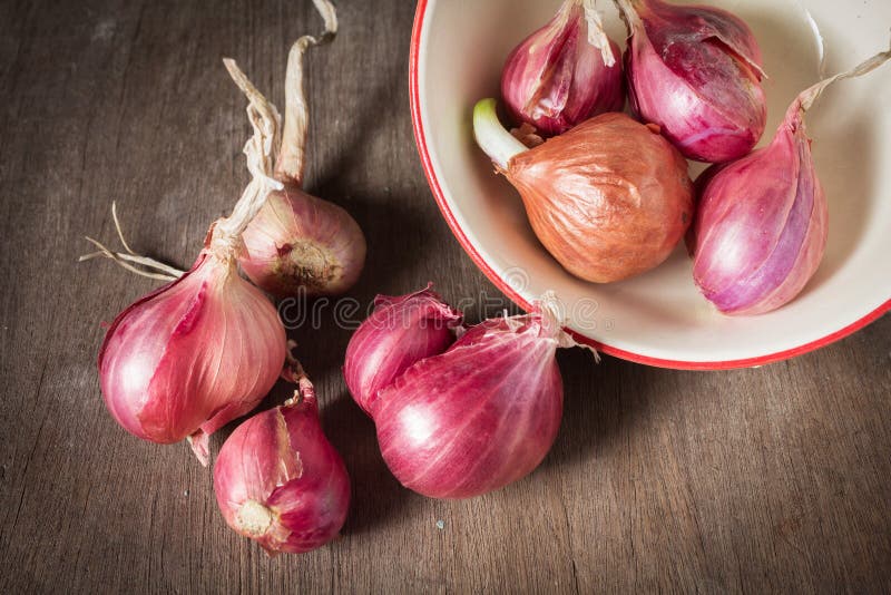 Bunch of shallots stock photo. Image of plant, shallot - 31223948