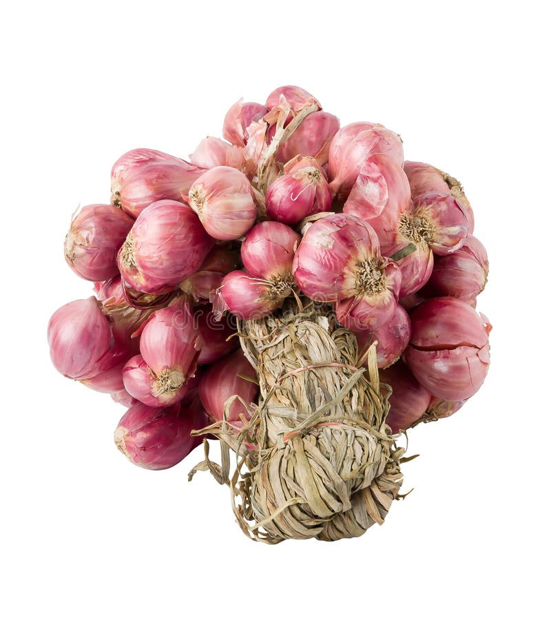 Shallots stock image. Image of onion, asia, cooking, agriculture 39766293